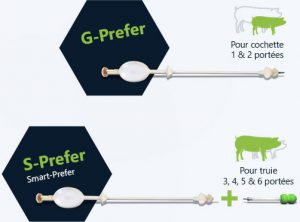 G-prefer et S-prefer